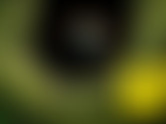 The Legend of Ochi (2025) Watch Party Discussion