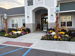 mav fall flowers
