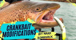 Crankbait Modifications