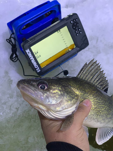 Tricks For Landing Walleye On Ice