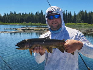 SpinFish for Trout