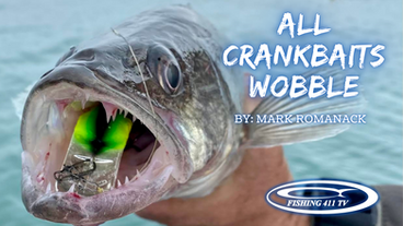 All Crankbaits Wobble