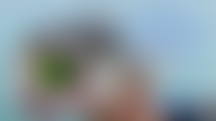 All Crankbaits Wobble