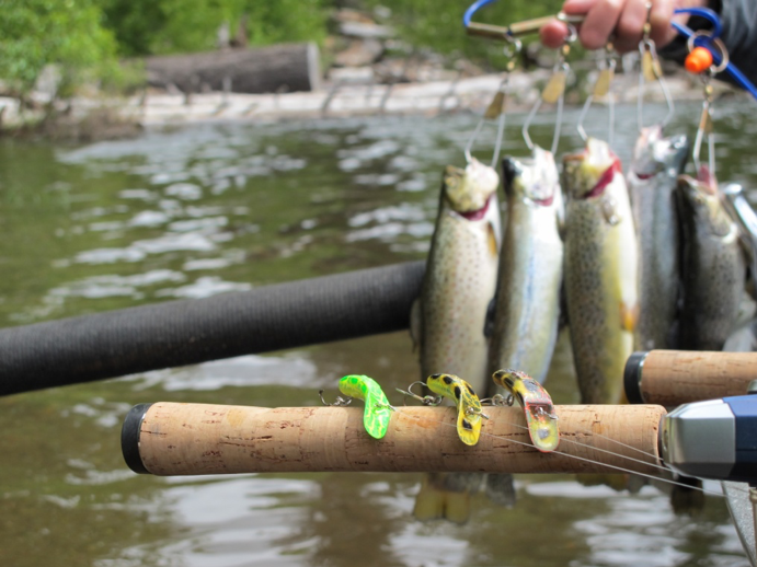 Trolling for Trout