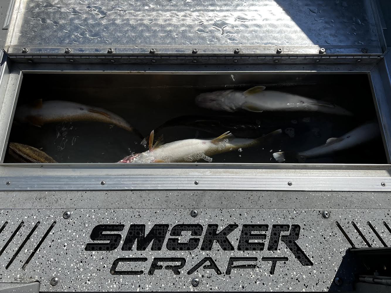 Fishing Spin n Glo for Walleye