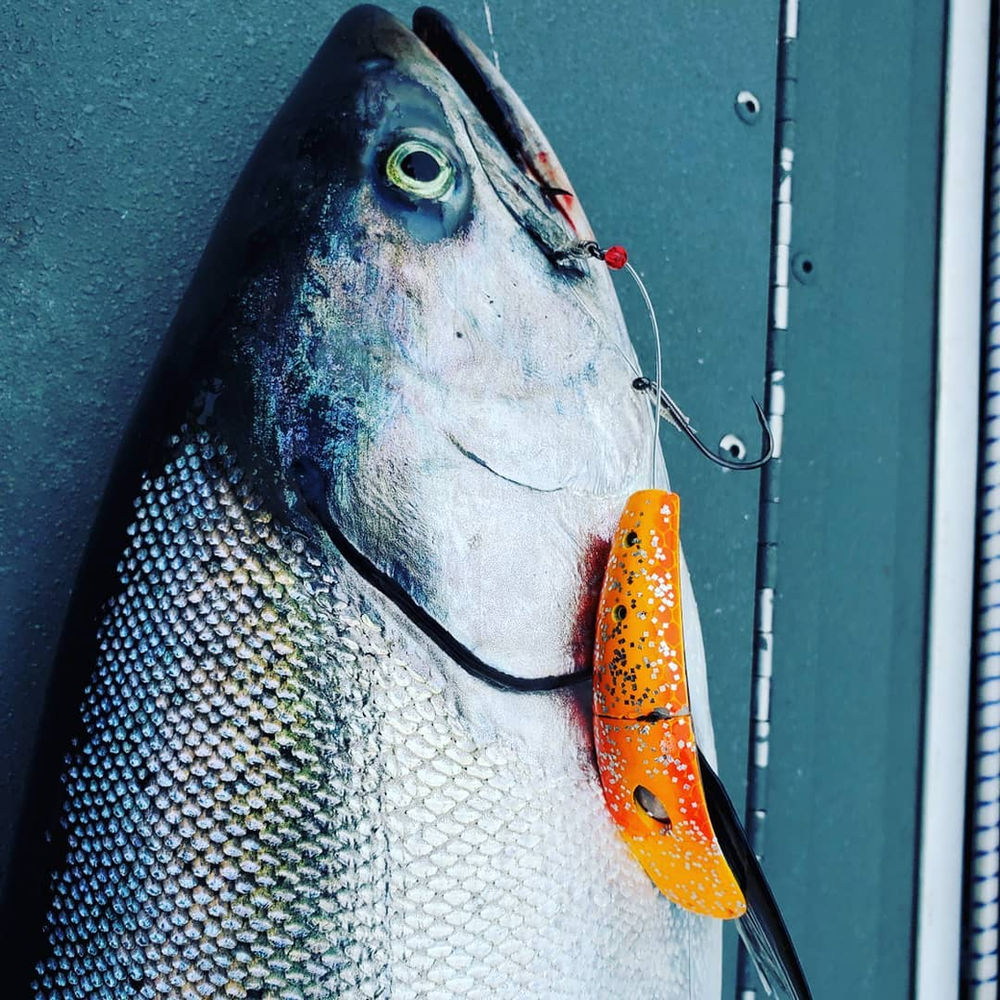 Yakima Bait Tips On Columbia River Salmon Fishing The Fishing Wire