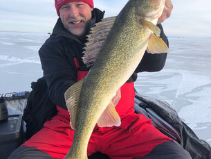Walleye On Ice