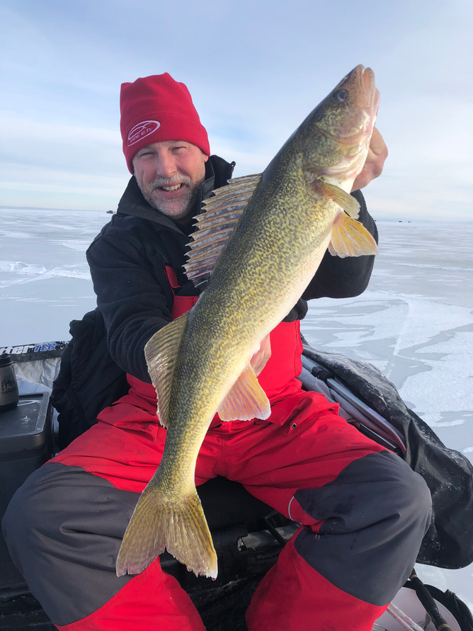 Walleye On Ice