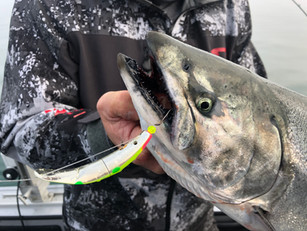 Targeting Great Lakes Salmon on SpinFish