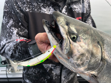 Targeting Great Lakes Salmon on SpinFish