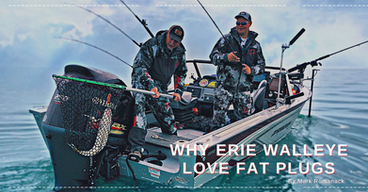 Why Erie Walleye Love Fat Plugs
