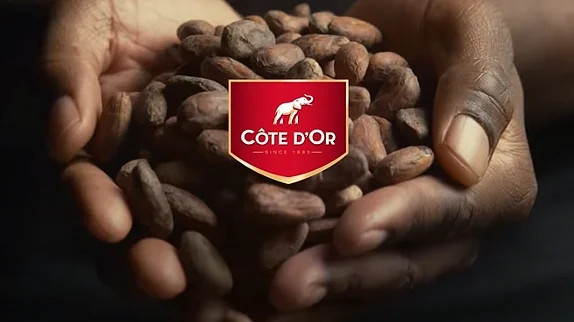 Embarking on a Culinary Odyssey with Côte d'Or: Unraveling the Chocolate Delight! 
 