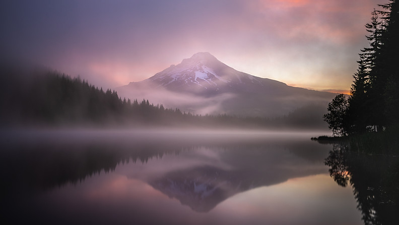 Trillium