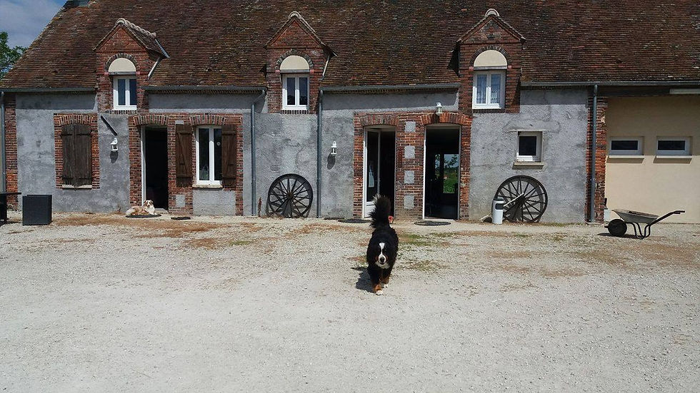Club House et Accueil