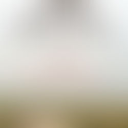 Camino Meditations: 30 Mindful Walking Meditations to Conquer Addiction and Cultivate Joy by Kelly W