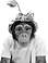 monkey.png