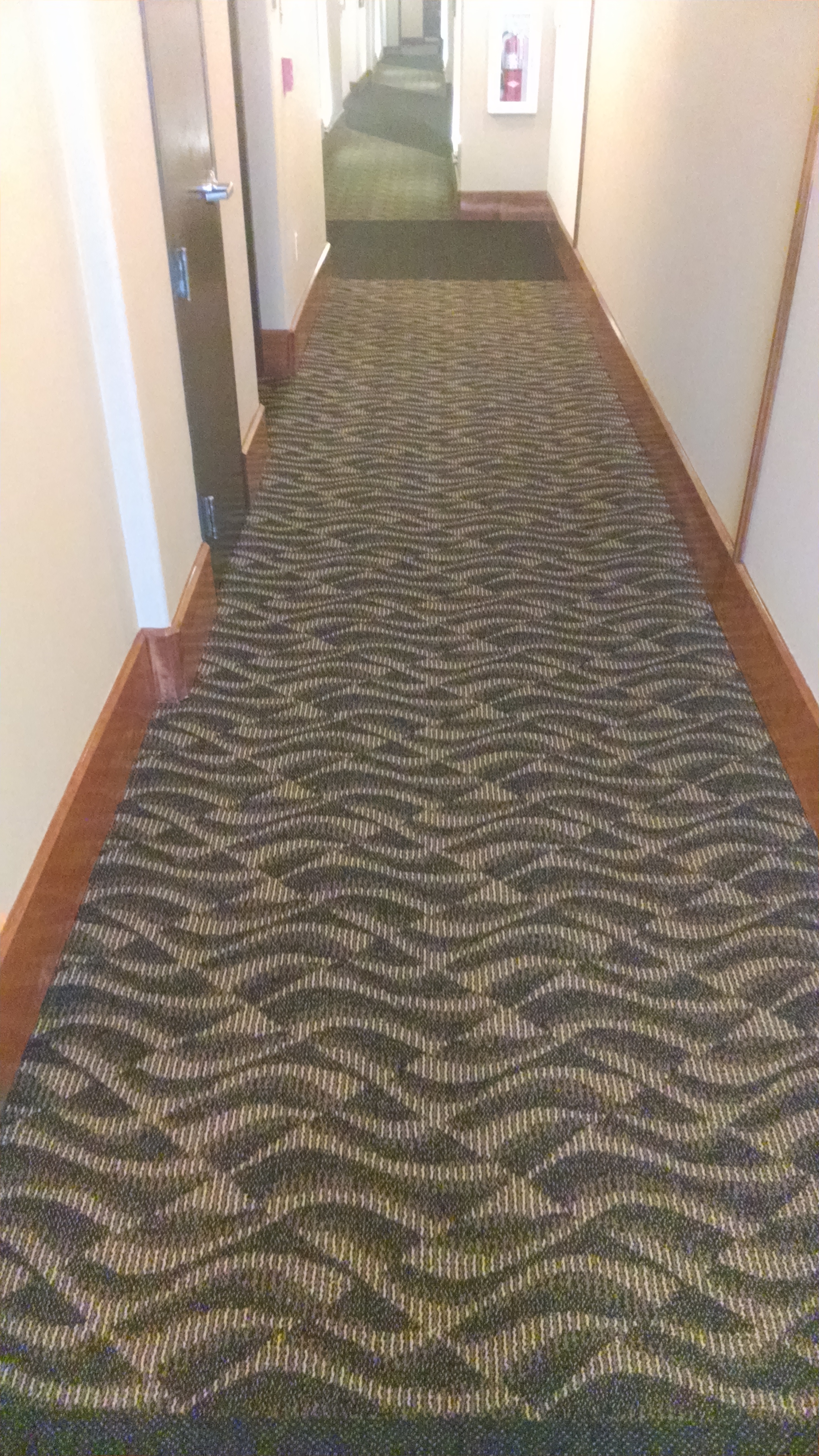 Carpet Installation