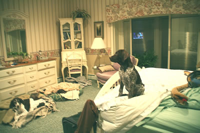 Bitty_Greta_letting_her_know_TV_is_off_T