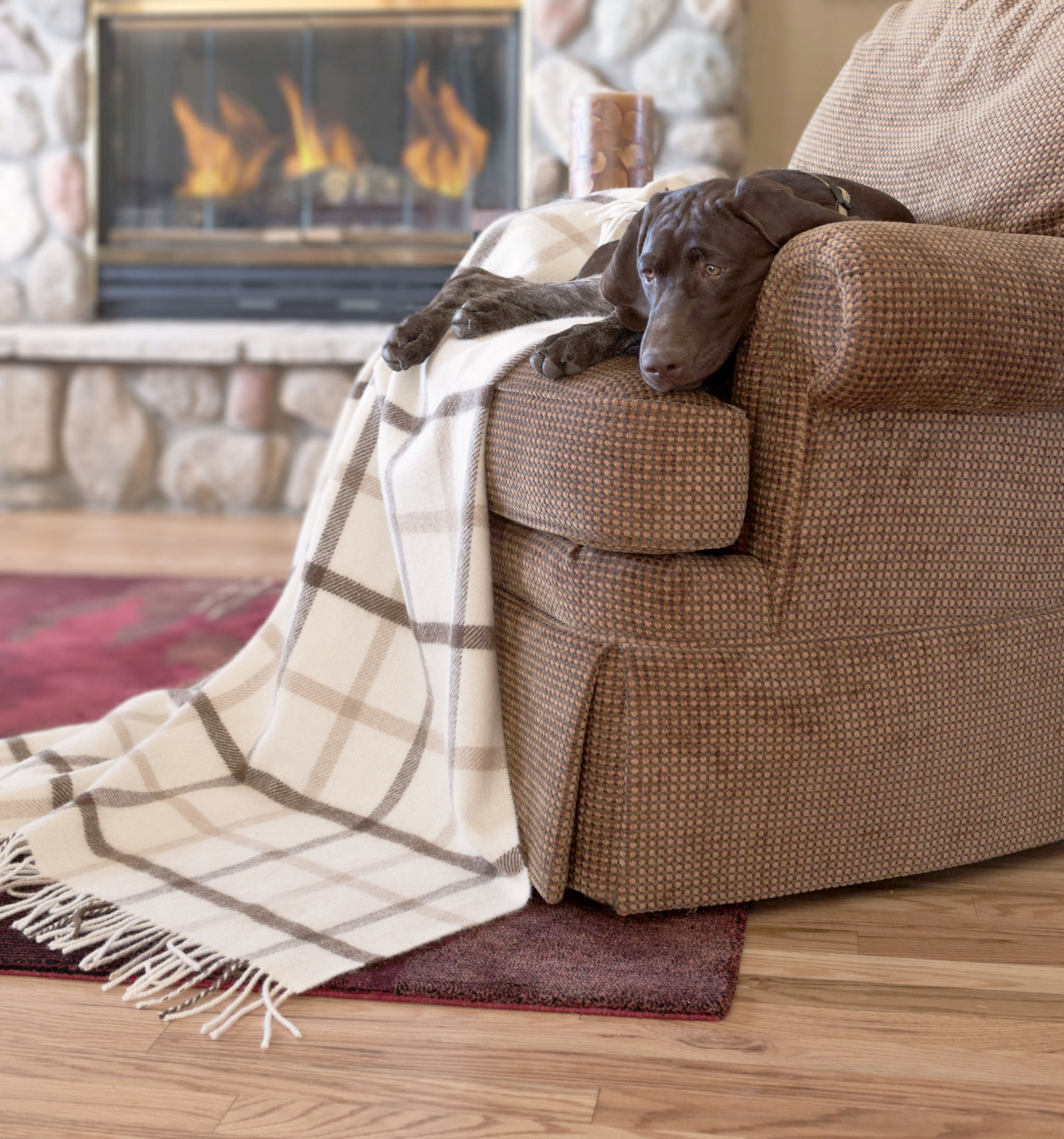 Prairie Wind GSPs German Shorthaired Pointer Wyoming
