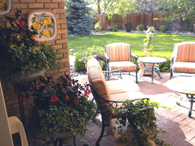 Cody_bk_yard_flowers