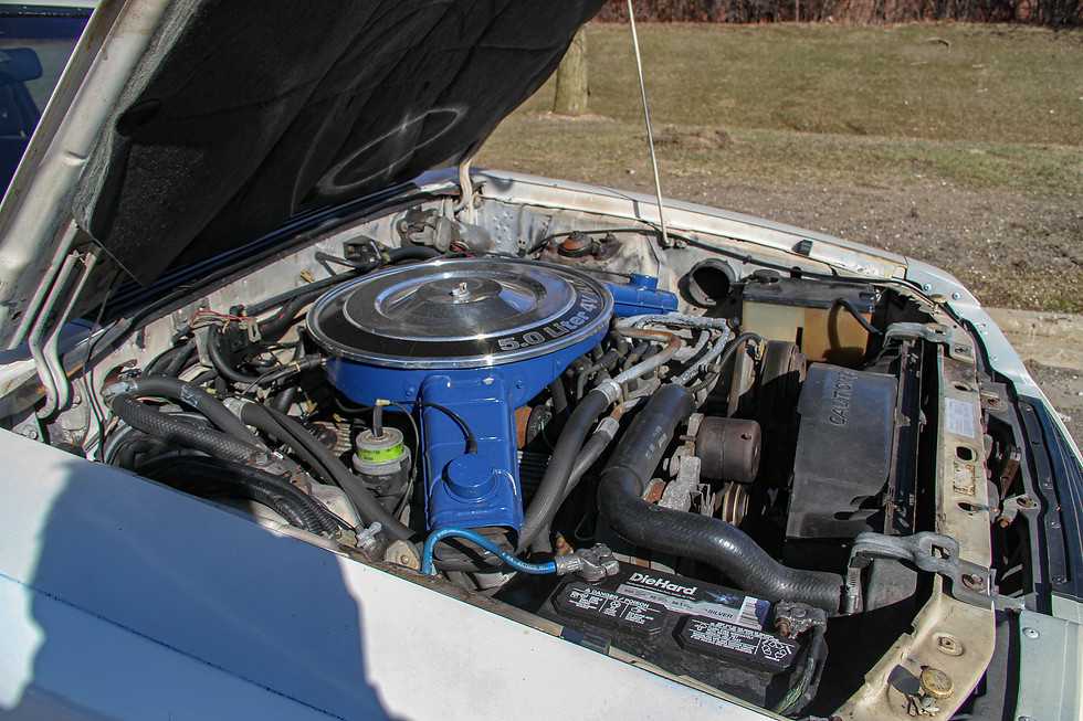 Thumbnail: 1983 Ford Mustang GT