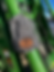 Thumbnail: Wilson Flying Diamond Ranch Knit Beanie