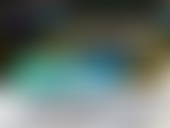 AÇÃO DOS SERVIDORES DO DENASUS APONTA IRREGULARIDADES E MINISTRO FLÁVIO DINO DETERMINA QUE AGU BUSQUE DEVOLUÇÃO DE EMENDAS DE ALBERTO FRAGA