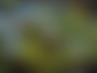 What are America’s Top 10 States for Business 2024?