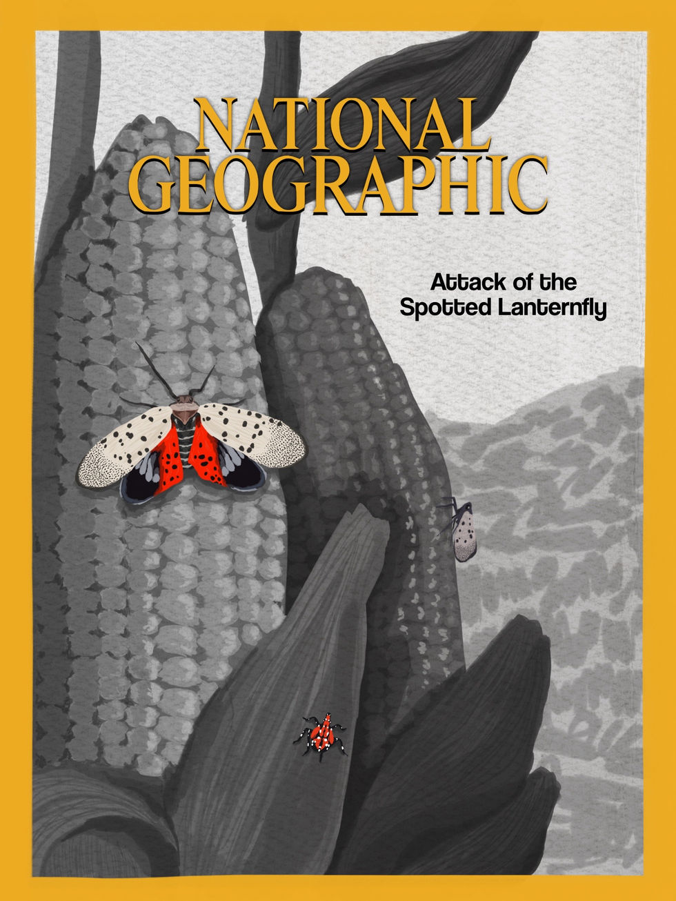 nat geo cover design