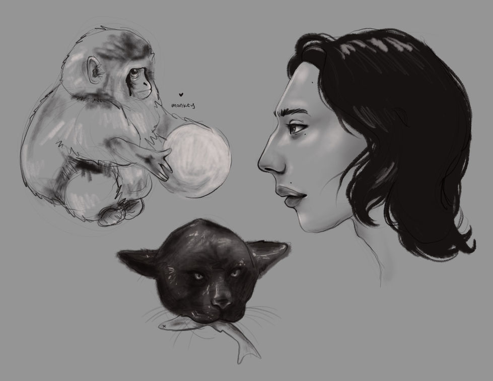 Page of studies