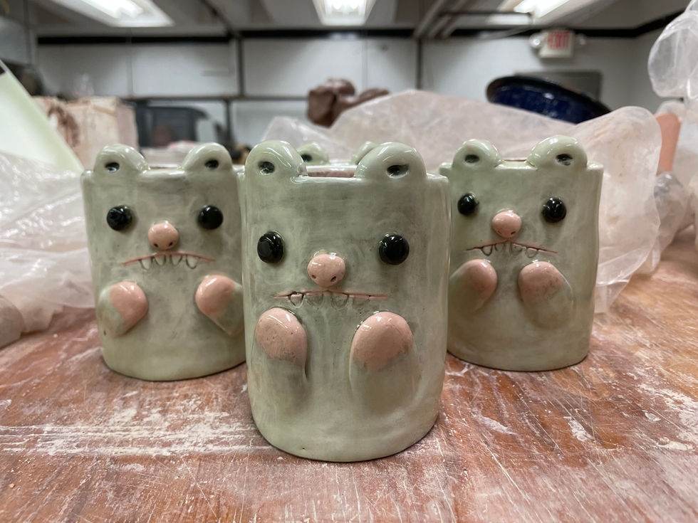 opossum mugs