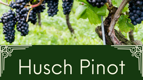 July 2022 Wine Tasting - Husch Pinot Noir 