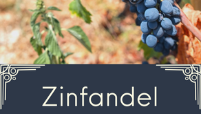 April 2023 Wine Tasting - Zinfandel