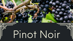 Wine Tasting - May 2024