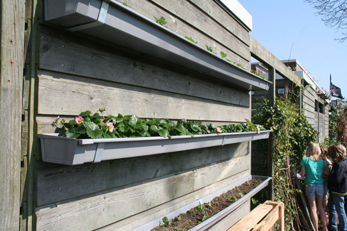 buurtkas_hofvanreseda_groningen_lente2014 (47).jpg