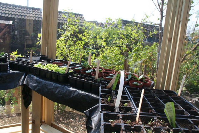 buurtkas_hofvanreseda_groningen_lente2014 (41).jpg