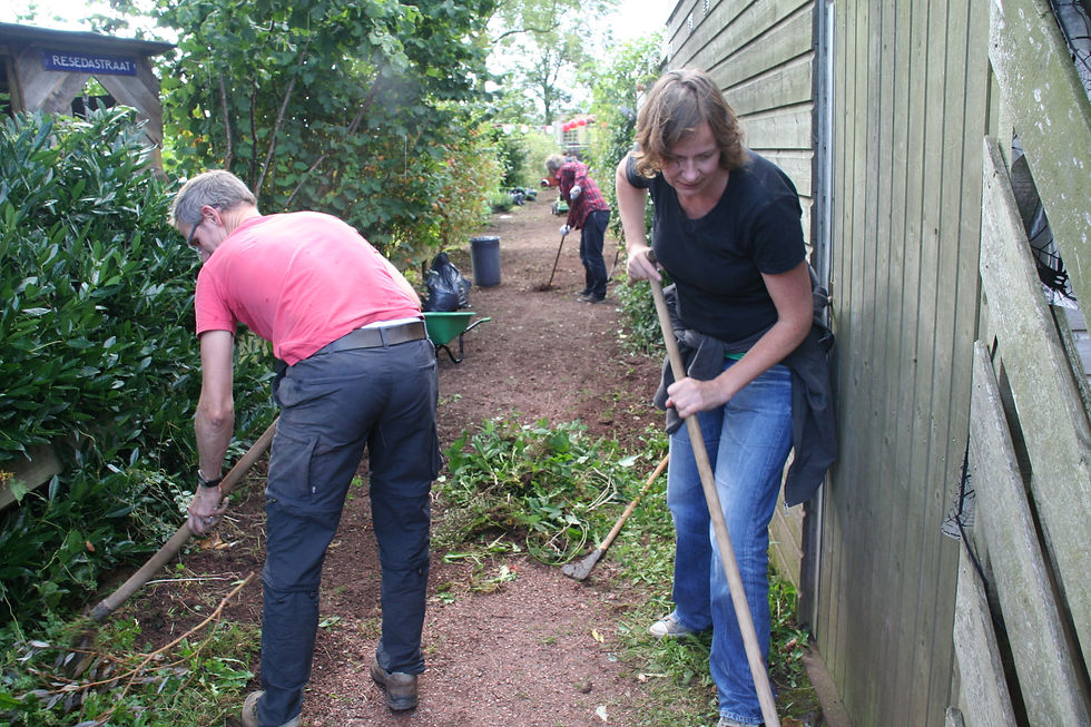 burendag_2012_hofvanreseda_groningen (17).JPG
