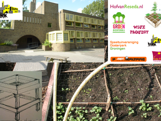Moestuinbakken bouwen bij S.J. Boumaschool 6 juni