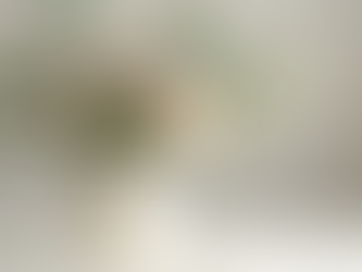 Blooming Beauty: Fresh Flower Arrangements in Durack