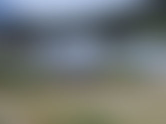 抓住秋天的尾巴,趁着周末去露一露!