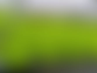 Hidroponik Marul Daha mı Sağlıklı?