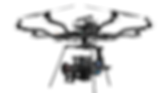 ALTA PORTLANDRONE.png