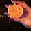 Thumbnail: Jack Lotion Bar
