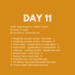 Day 11 (1).png