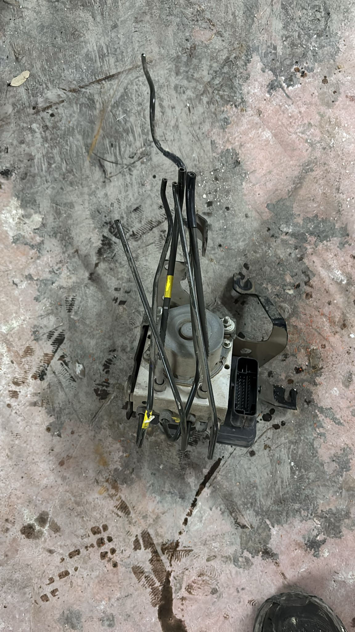 Renault Clio 4 - Abs beyini