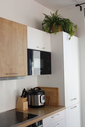 Pankow Apartment_Kitchen.JPG