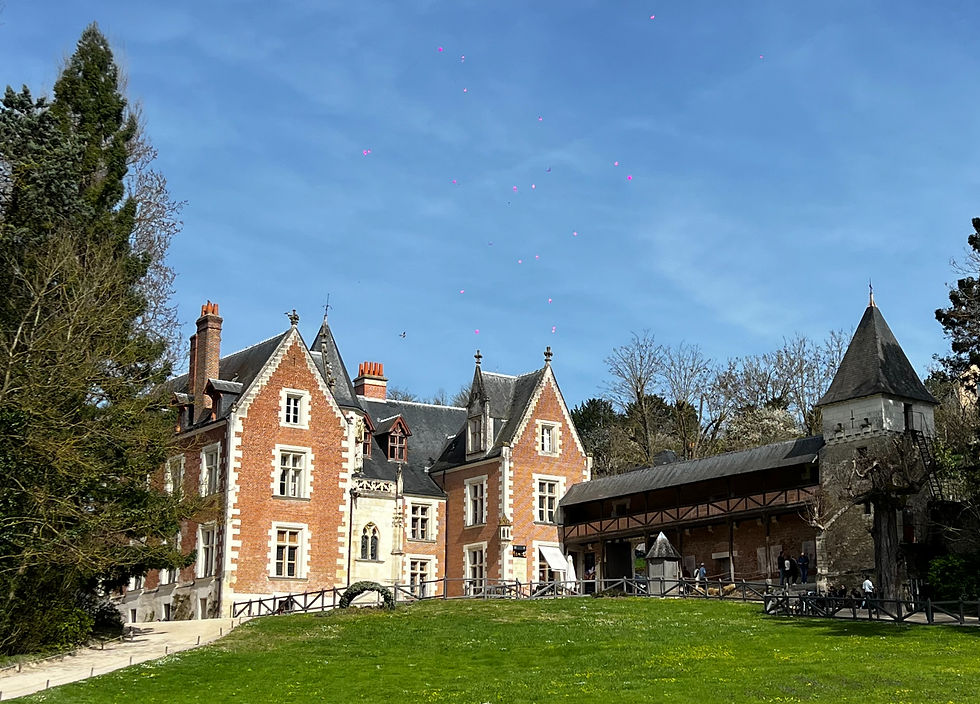 Clos Lucé in Amboise, France in the Loire Valley; Bubbly Tourist things to see and do in Loire Valley