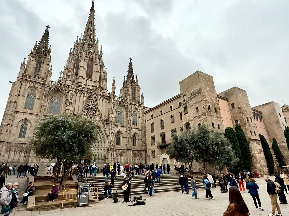The gothic style Barcelona Cathedral on the lively Plaça Nova; A Local's Guide to Exploring Barcelona: The Perfect Itinerary of the Top Things to See and Do by Area
