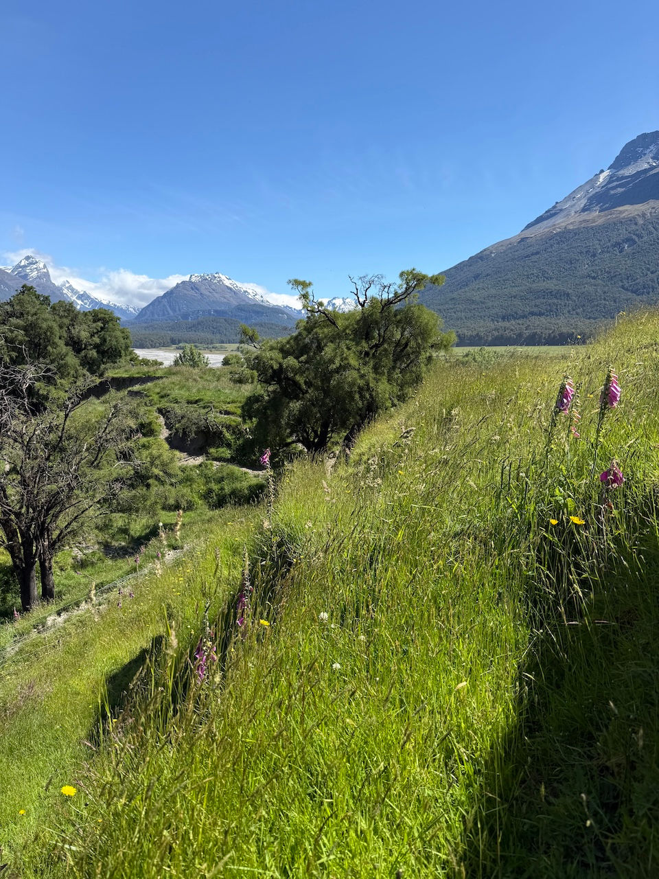 Bubbly Tourist New Zealand South Island Map with Itinerary of Must See locations; Glenorchy LOTR tour