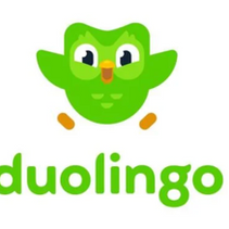 Learn a Language with Duolingo
